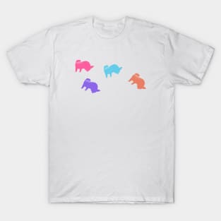 Colored Ferrets T-Shirt